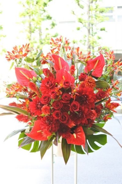 画像7: フラワースタンド1段20,000円 (7)